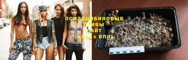 дживик Белоозёрский